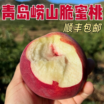 现摘青岛金秋红蜜脆甜冰糖心顺丰
