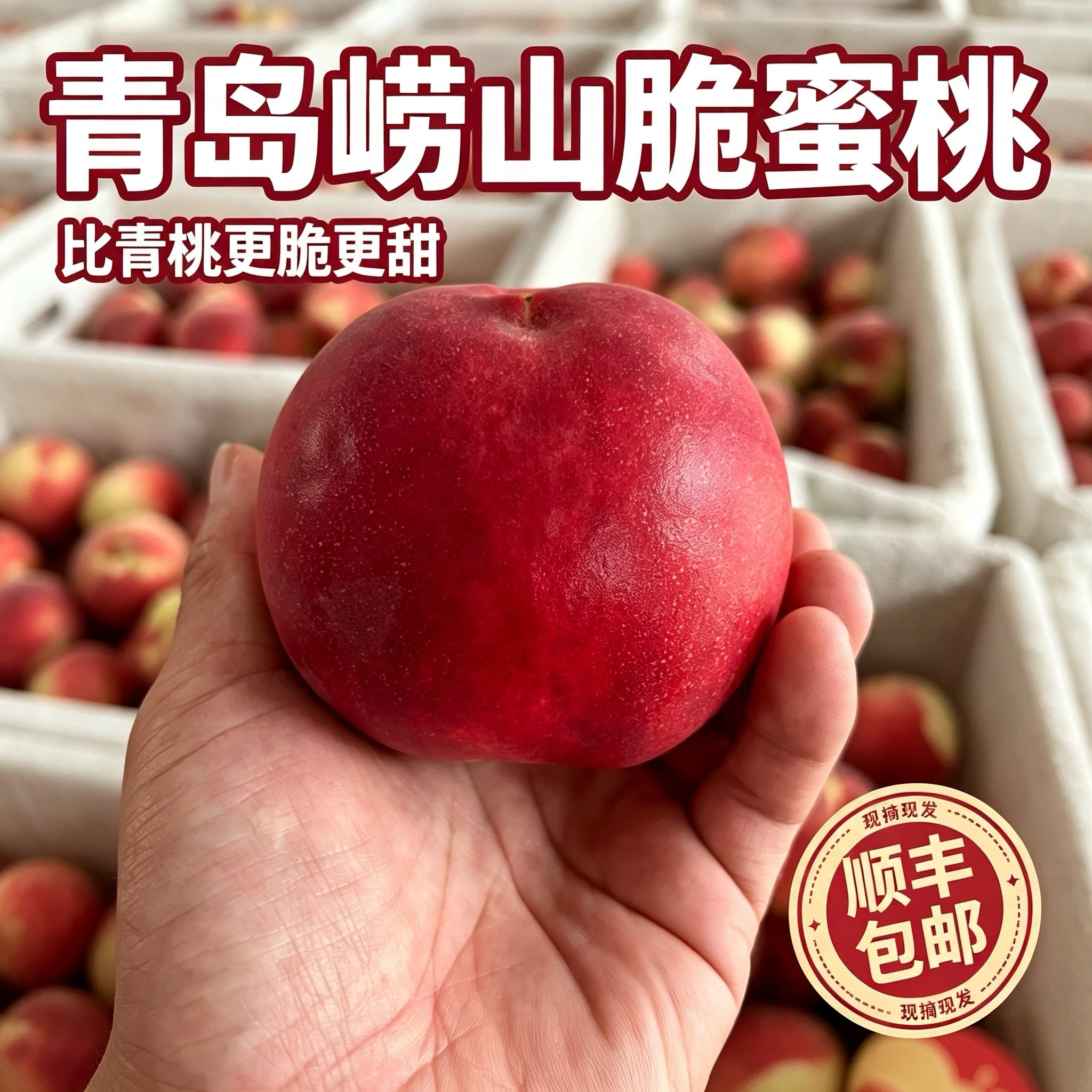 现摘当季青岛金秋红蜜桃子脆甜新鲜水果山东红心硬桃青桃秋冬毛桃