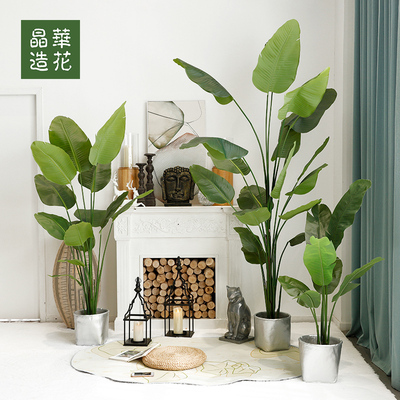 晶华仿真树造景大型植物景观橱窗装饰假绿植芭蕉叶室内装饰造景