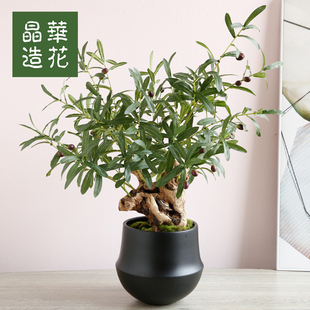 晶华造花仿真橄榄枝果实室内仿真花摆件创意花瓶客厅家具装饰品