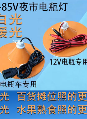 白光暖光夜市摆摊用12伏电瓶灯泡专用12-85伏电动车用LED飞碟球泡