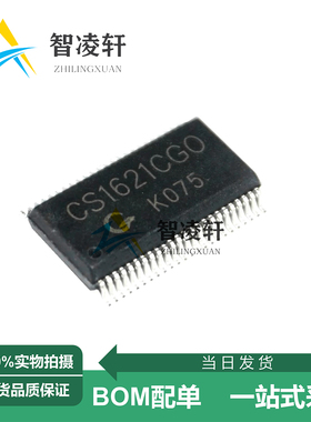 全新原装 CS1621CGO SSOP-48 LCD驱动芯片 现货供应