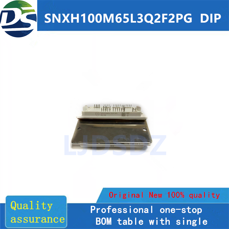 SNXH100M65L3Q2F2PG  DIP  全新原装 房间现货