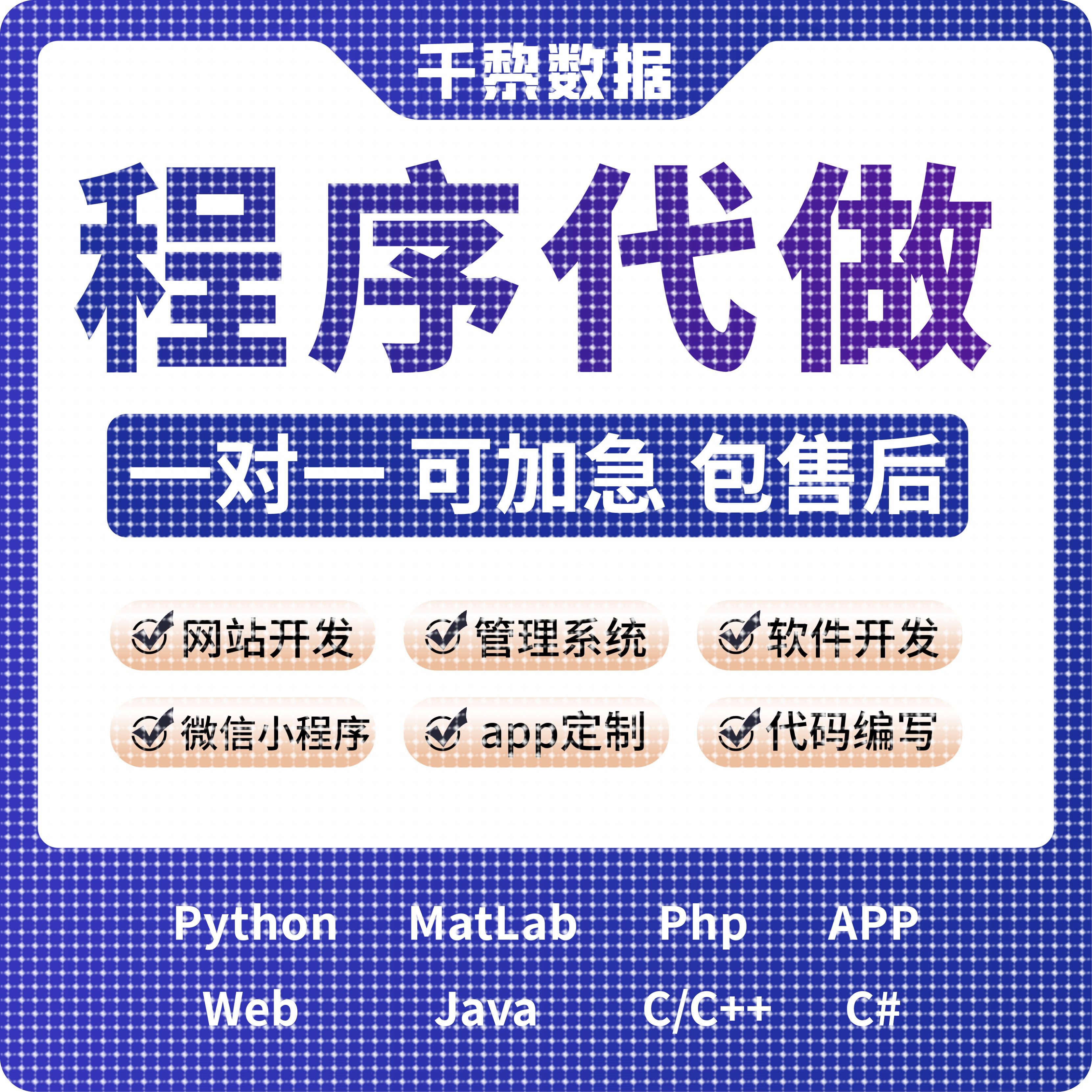 python代编程序C++语言matlab深度学习PHP代码编写定制代写javaC#