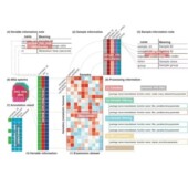 扩增子16s 18S ITS宏基因组测序数据分析微生物多样性测序基因组