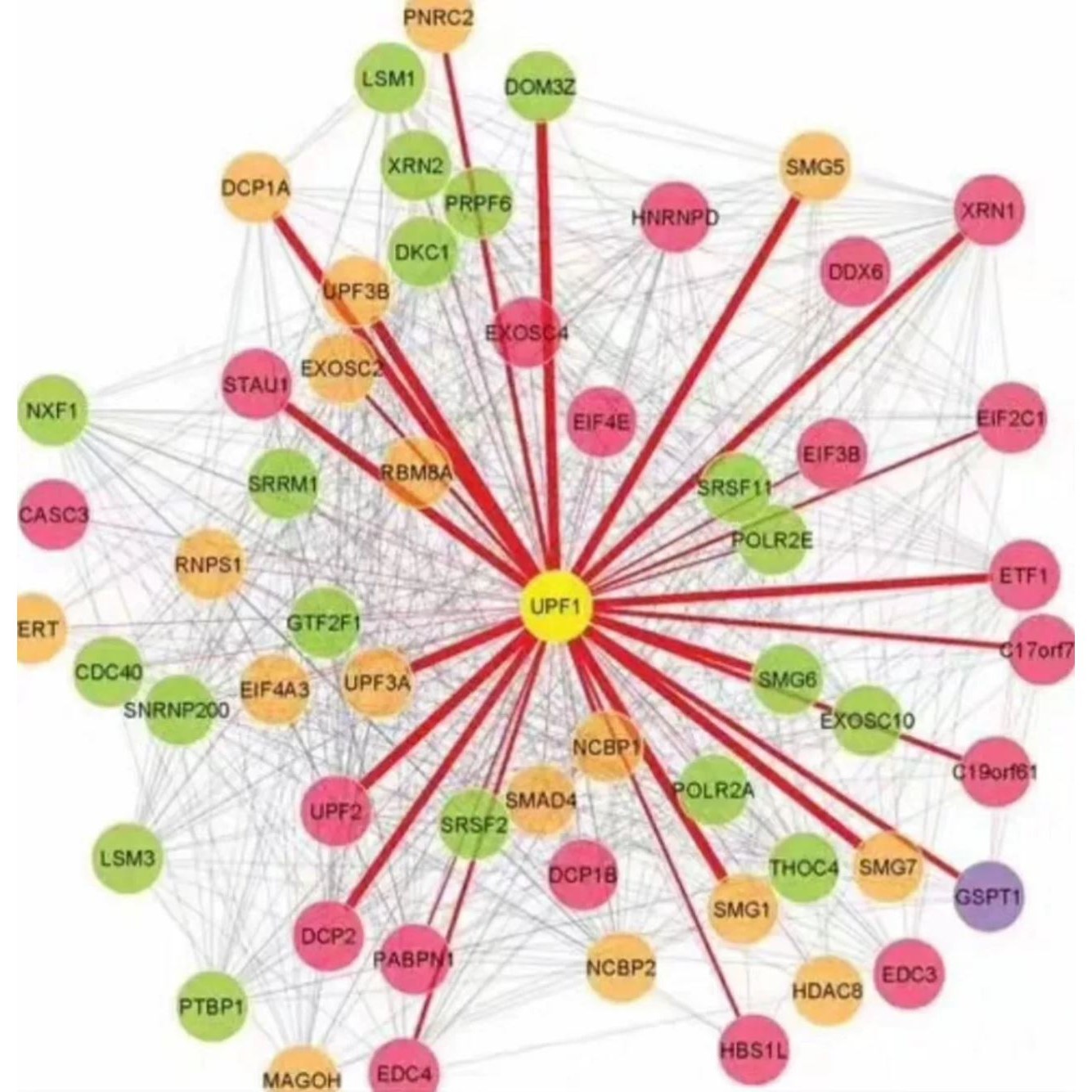 R语言画图绘图生信医学数据可视化作图辅导医学生信分析