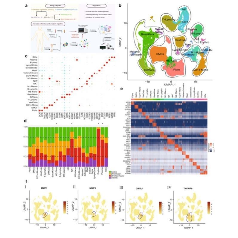 sci生信分析TCGA GEO生信数据挖掘2-5分代做单细胞转录组全套服务