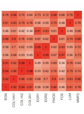 addis软件GeMTC网状分析软件贝叶斯meta分析R语言jre远程安装服务