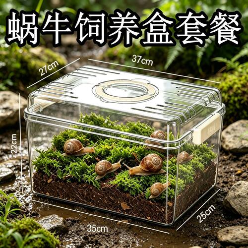 白玉蜗牛饲养盒蜗牛宠物活体学生科学实验观察套装蜗牛养殖观赏箱