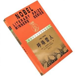 呼唤雪人 辛波斯卡诗歌集 林洪亮 获诺贝尔文学奖作家丛书 老版