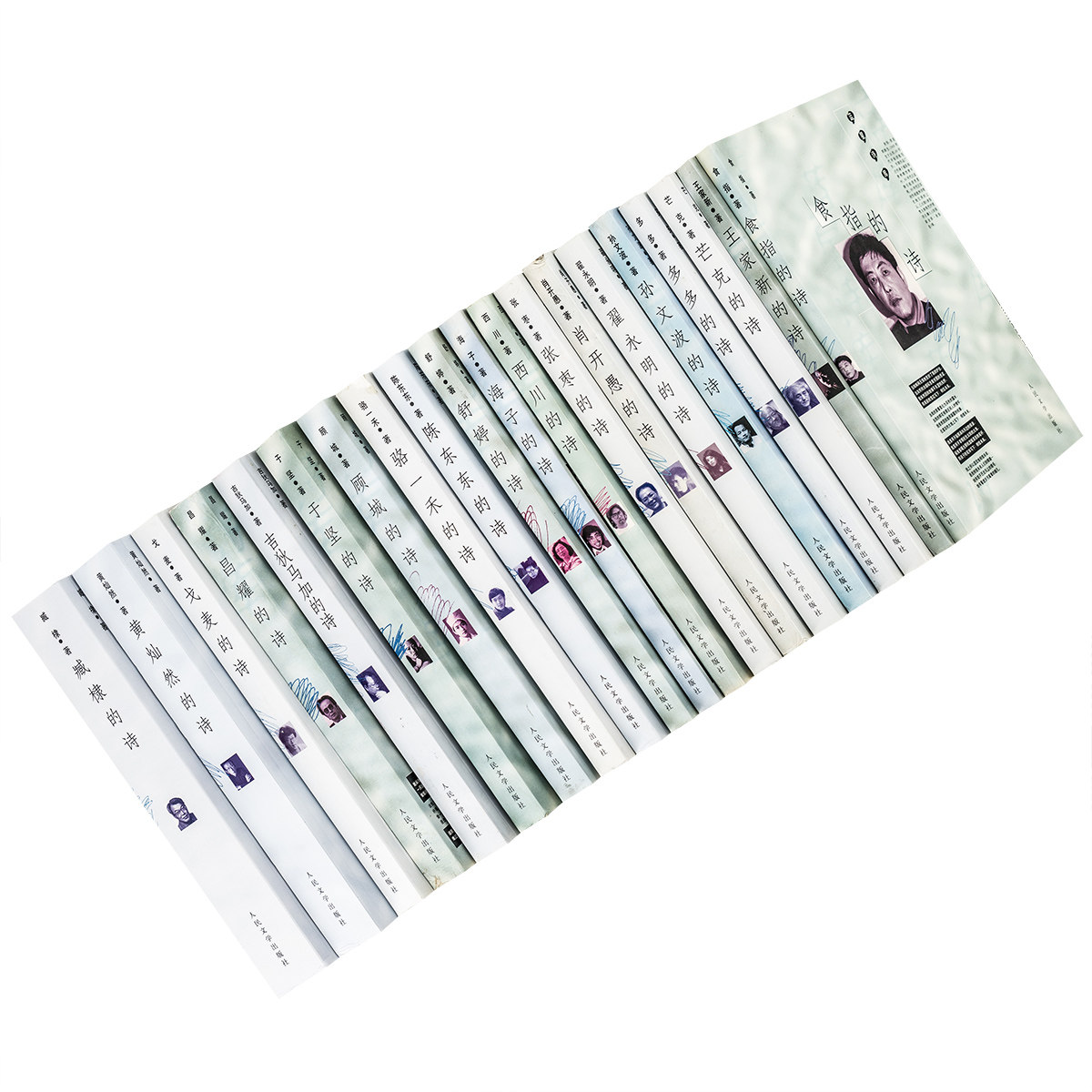蓝星诗库全20册 王家新的诗西川的诗肖开愚的诗张枣的诗芒克的诗骆一禾的诗戈麦的诗翟永明的诗多多的诗于坚的诗海子的诗顾城的诗