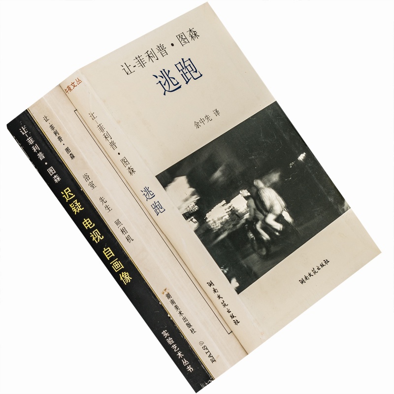 浴室 先生 照相机 迟疑 电视 自画像 逃跑 做爱 图森小说集老版书