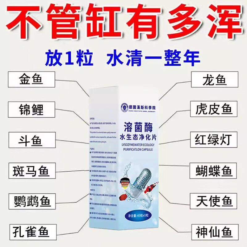 德国汉斯科学院溶菌酶水生态净化片除臭去黄水去菌多功能不伤鱼