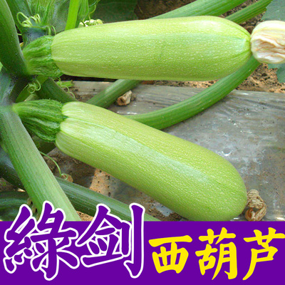 百草园四季开花春季好