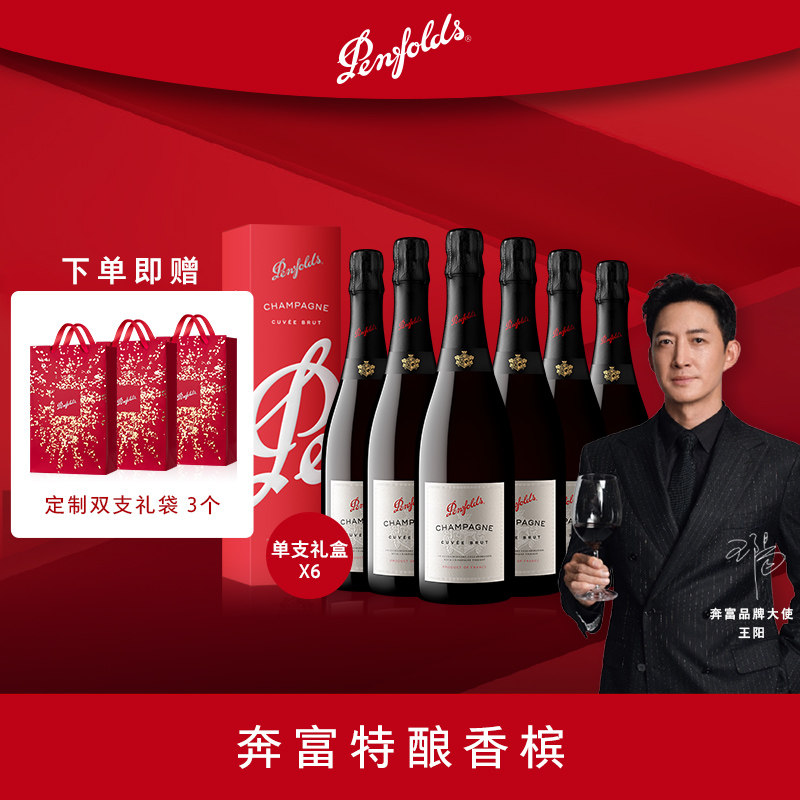 奔富特酿香槟法国进口气起泡酒葡萄酒礼盒生日婚礼物派对 750ml*6 - 实物图