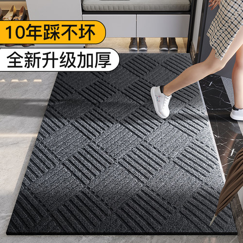 轻奢入户门地垫高端进门口脚垫