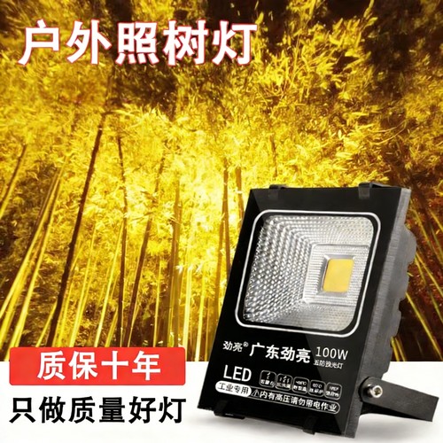 劲亮户外防水LED彩色照树投光灯