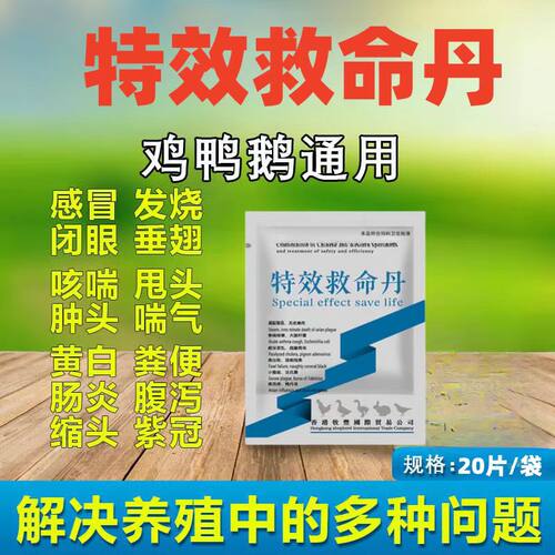 特效救命丹鸡药大全养鸡专用药鸡病全治鸡瘟呼噜咳嗽黄白痢救命药