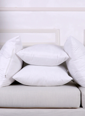 抱枕芯靠枕芯沙发靠垫芯35*45x50*55X60*65x70婚庆正方形方枕内胆