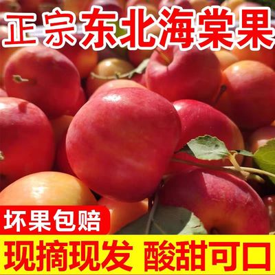 东北沙果K9苹果孕妇水果整箱包邮