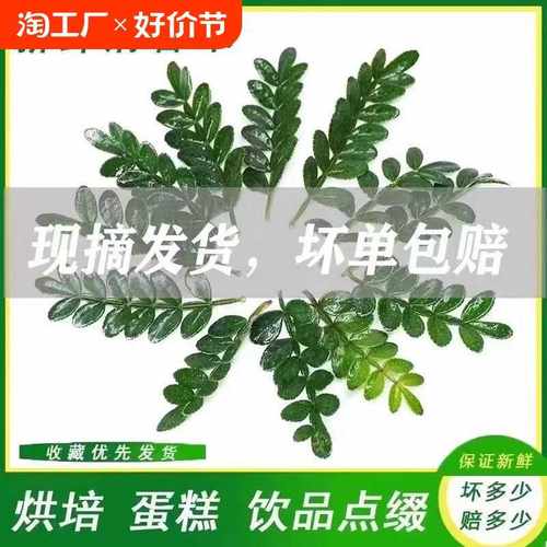 木叶子烘培蛋糕装饰摆盘