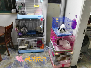 上海宠物寄养 兔子仓鼠荷兰猪寄养 浦东可接送 家庭寄养