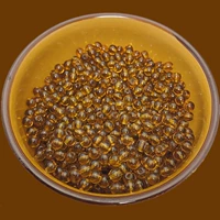 6 мм янтарь на кошку около 1550