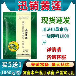 兽用迅销黄莲散猪牛羊鸡鸭鹅鸽子禽畜用饲料添加剂