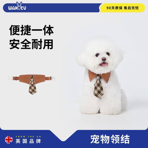 宠物领结项圈狗狗猫咪口水巾围脖
