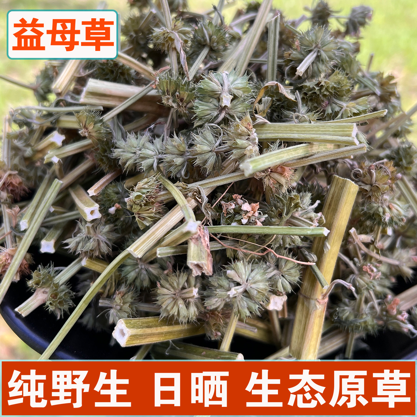 野生益母草新鲜干货500g调理姨妈泡茶泡脚泡水正品中药材益母草,传统滋补营养品,其他药食同源食品,淘宝优惠券,粉丝福利购,淘宝优惠卷