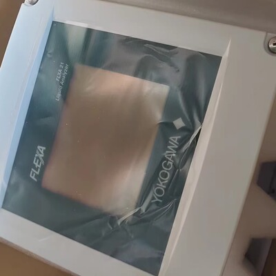 横河YOKOGAWA FLXA21-D-P-D-AB-P1-NN-A-N-LA-N-NN液体分析仪