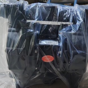 DEBEM迪贝 IB100FCMTTFT- 气动隔膜泵