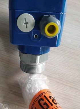 德国UWT阻旋式料位开关 RN3001 A011AA3A3A