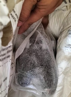 BECHOFF倍福 AS1060-0120伺服电机