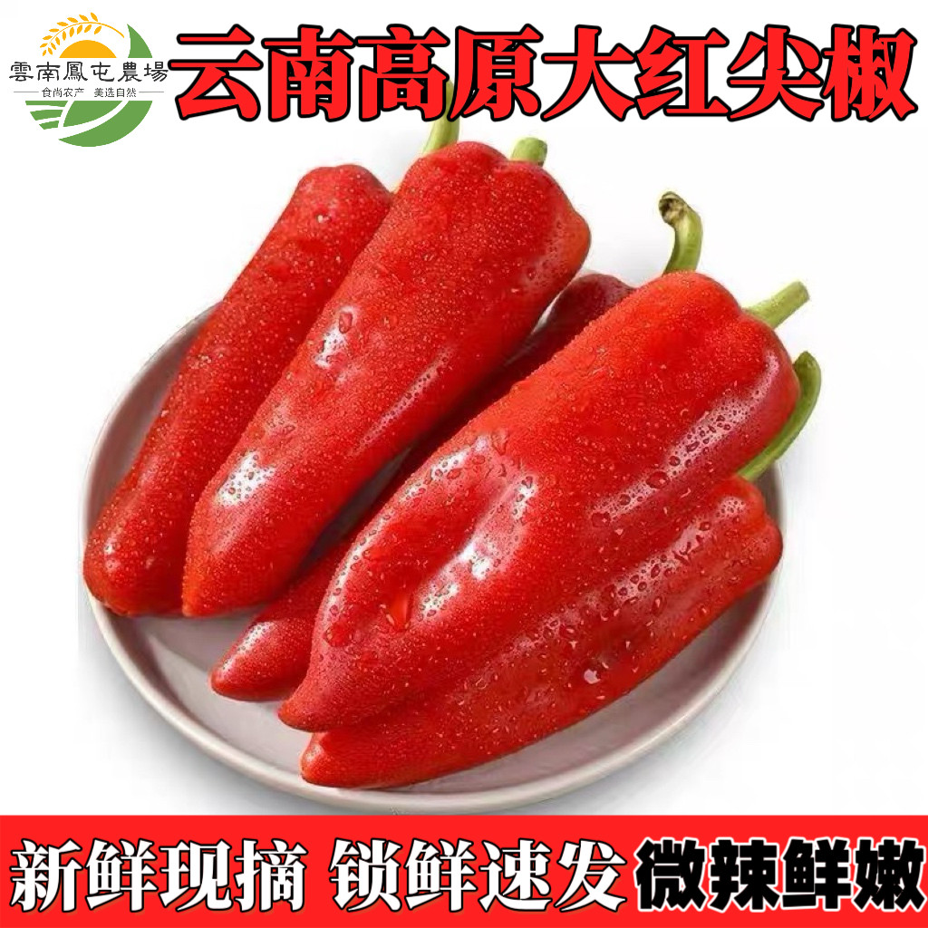 红辣椒新鲜大红椒水果椒大红尖椒泡椒农家红椒剁椒辣椒酱云南特产
