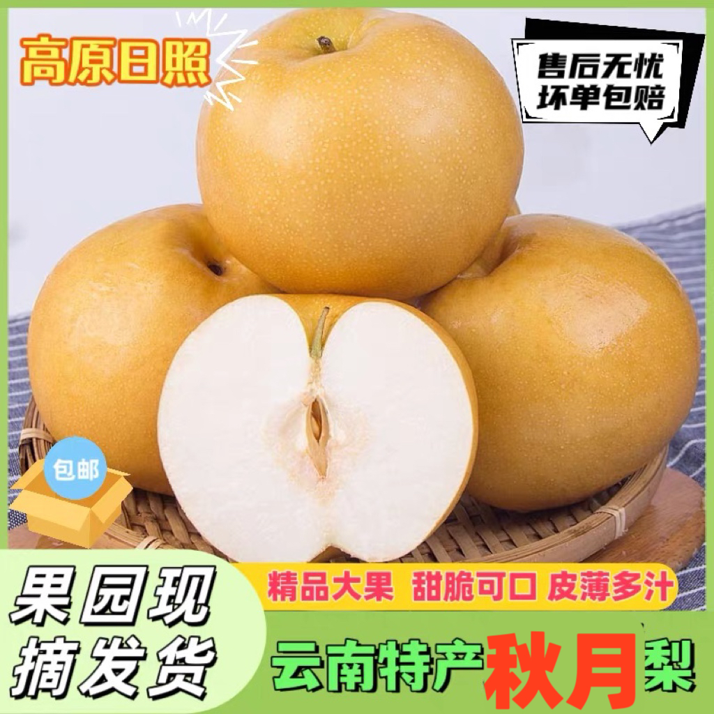 云南高原秋月梨黄皮梨黄花梨酥脆多汁新鲜高原特产水果现摘发货