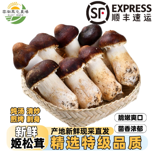 顺丰空运云南新鲜赤松茸煲汤火锅