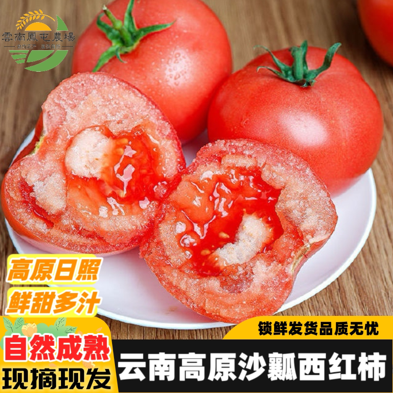 云南高原水果西红柿自然成熟新鲜蔬菜即食生吃沙瓤番茄应季现摘