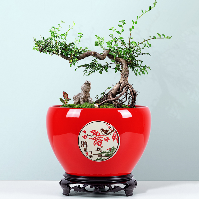 中国风喜庆红色陶瓷花盆大口径室内外发财树绿萝盆栽创意特价清仓