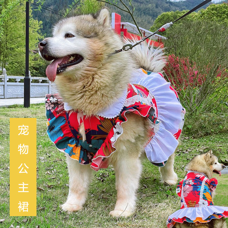 宠物狗衣服泰迪金毛萨摩耶拉布拉多阿拉斯加中大型犬大狗公主裙夏