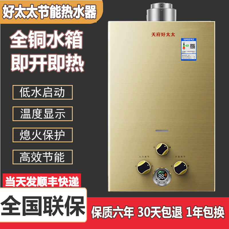 天府好太太强排10升平衡式热水器