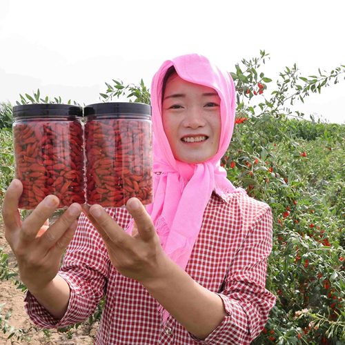 李景秀无硫磺无亚纳中宁枸杞