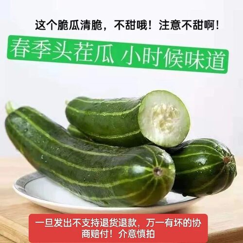 正宗山东潍坊脆瓜八棱脆瓜八棱瓜5斤一份烧瓜不甜水果非甜瓜稍瓜