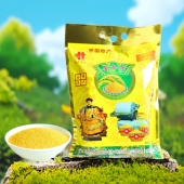 包邮 金谷黄小米2025新金乡马庙产农家自种月子贡米 农产品5斤袋装