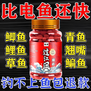 过江风颗粒饵官方正品 钓鱼饵料强效诱鱼直接挂钩鲜丹颗粒超浓腥