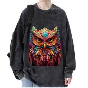 春春装男款3D个性咕咕鸡猫头鹰宽松大码复古做旧水洗纯棉长袖T恤