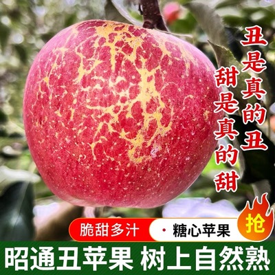 昭通冰糖心丑苹果5斤新鲜水果