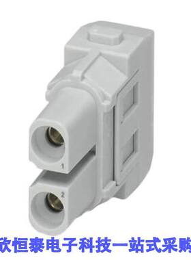 1417387连接器 《 MODULE FEMALE 2POS SCREW    》