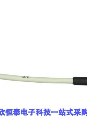 SN200E传感器，变送器 《 PT1000TR160/E, TEMP PROBE  2 M    》