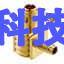 FLS.01.250.DLAE31 null LEMO